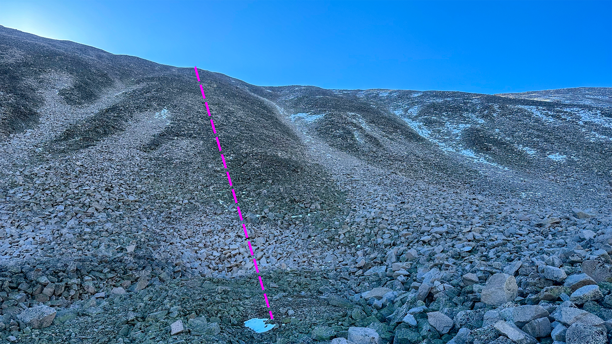 Looking up, after descending Princeton's Northwest Slopes into the Maxwell Creek Drainage