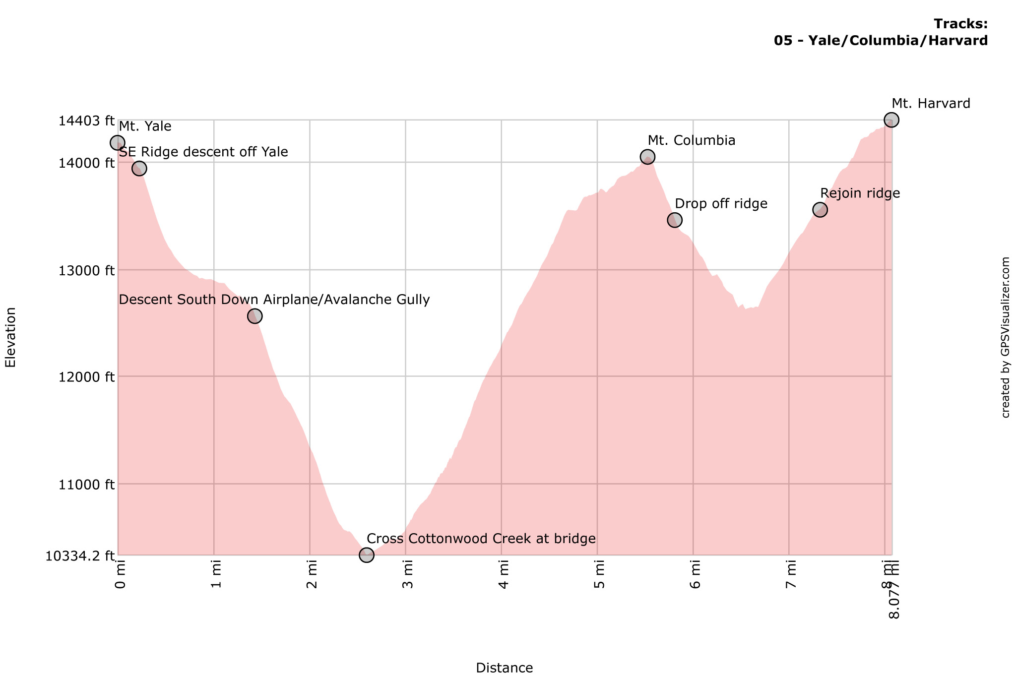 Yale, Columbia, Harvard Profile