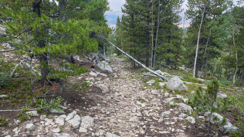 Old mining road (38.76821, -106.22190)