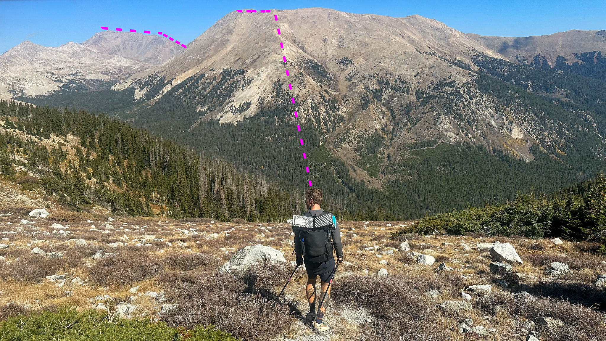 The descent above treeline to Cottonwood Creek is fairly reasonable, with commanding views of Mt. Columbia right in front of you.